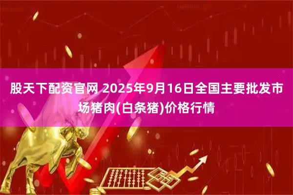 股天下配资官网 2025年9月16日全国主要批发市场猪肉(白条猪)价格行情