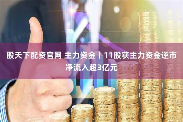 股天下配资官网 主力资金丨11股获主力资金逆市净流入超3亿元