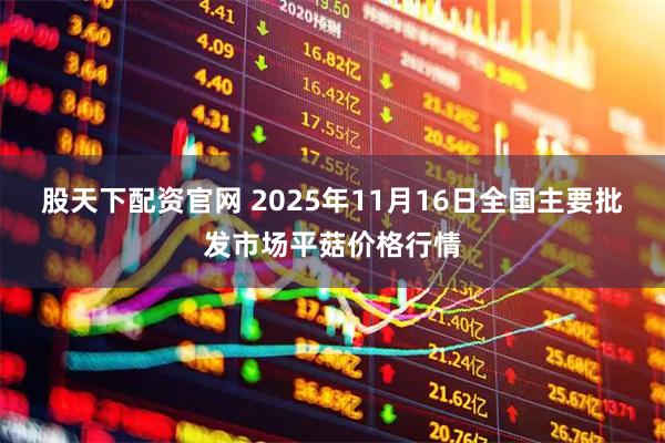 股天下配资官网 2025年11月16日全国主要批发市场平菇价格行情