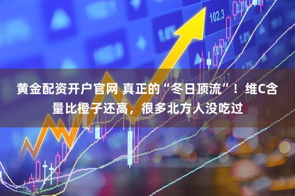 黄金配资开户官网 真正的“冬日顶流”！维C含量比橙子还高，很多北方人没吃过